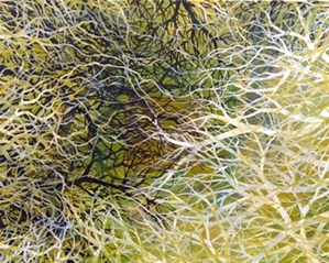 Abstracts